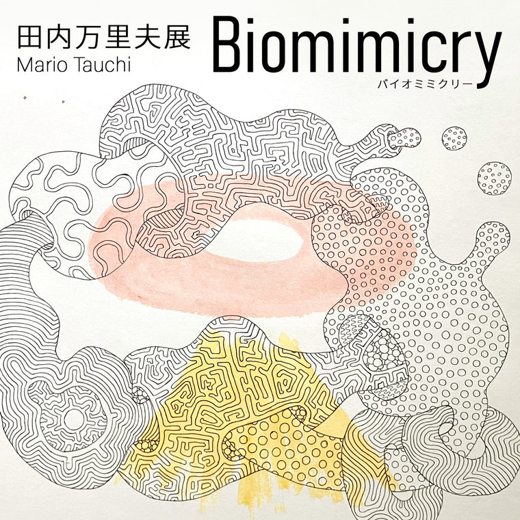 田内万里夫展 Biomimicry
