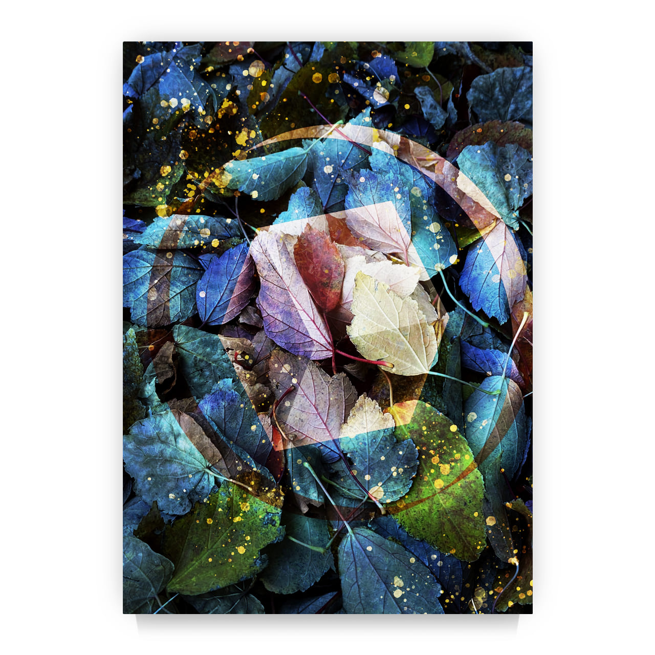 Fallen leaf crystals