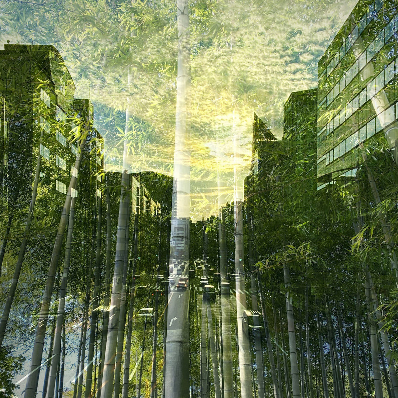 ARTWORKS – ORANGE GATE