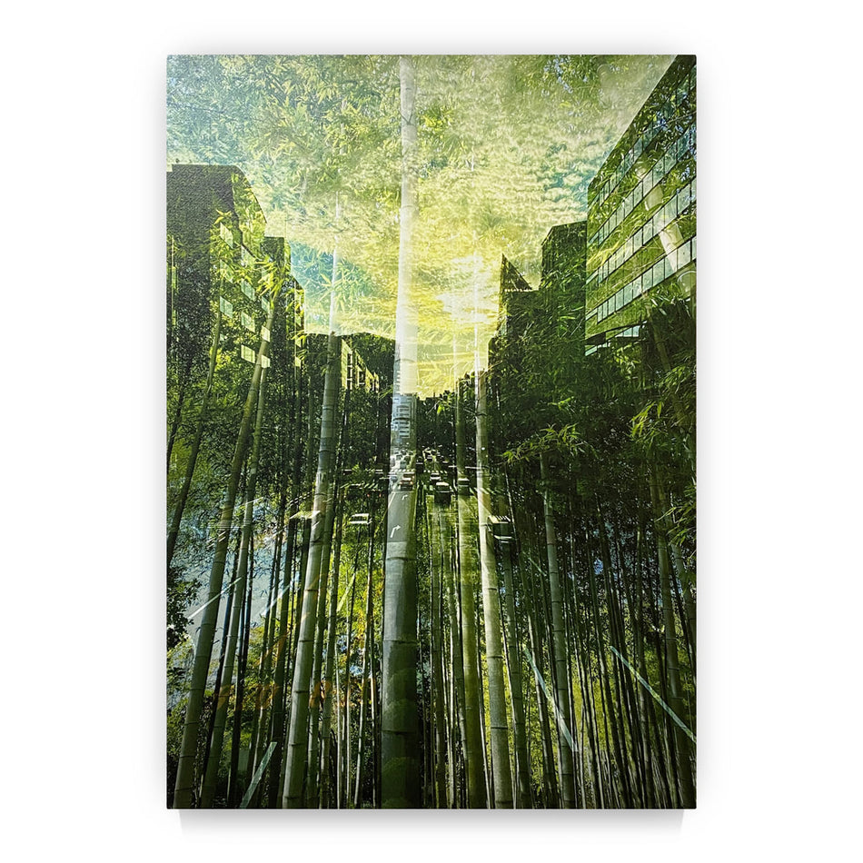 Bamboo story