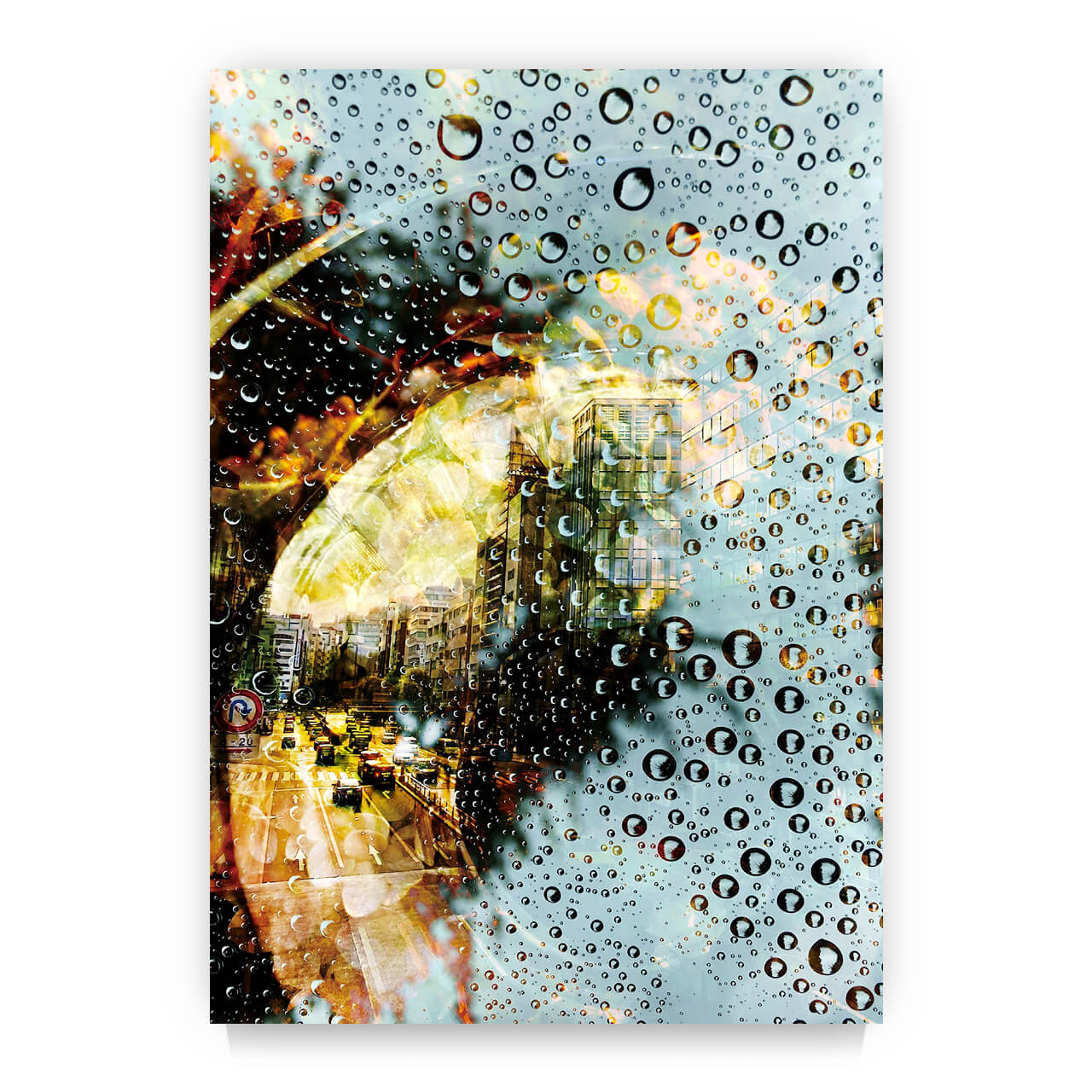 雨上がりの空のように　
Like the sky after the rain　　　