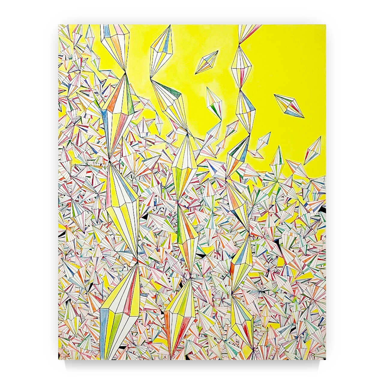 increase（増加）