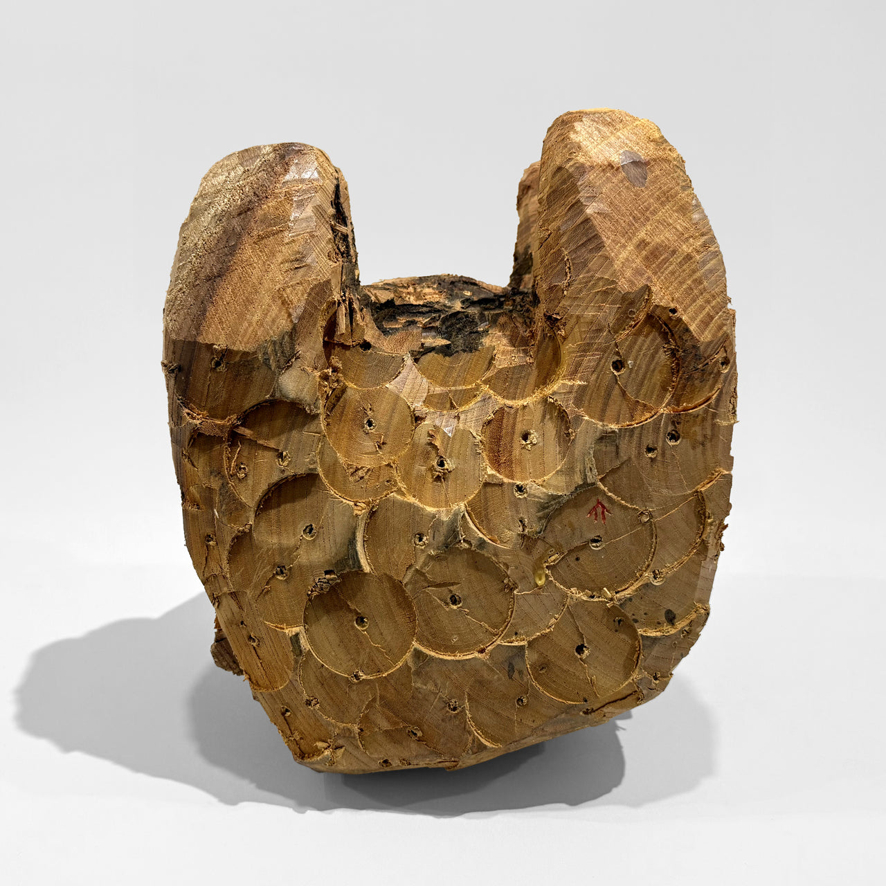 木彫　陽物 1205022005_584450451ecc2.jpg