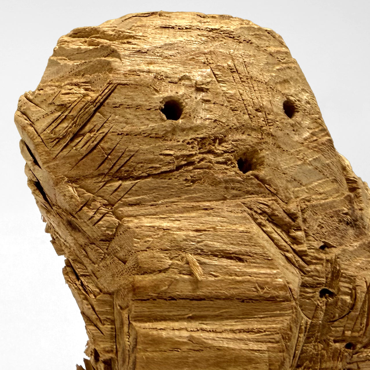 Hirosuke Yabe_矢部裕輔 – ORANGE GATE